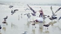 pic for Girl And Birds At Sea Coast 